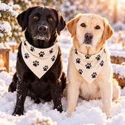 Big Sister Brother Dog Bandana